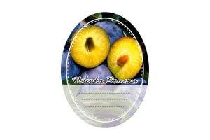 ETYKIETA OWALNA "ŚLIWKA"